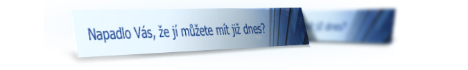 Baner Firmadnes