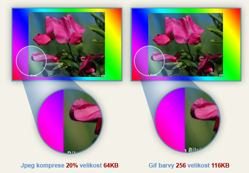 Rozdíl v použití formátu JPEG a GIF